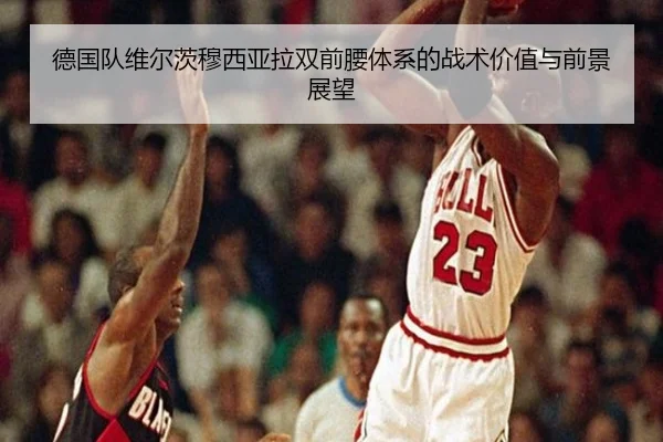 de-guo-dui-wei-er-ci-mu-xi-ya-la-shuang-qian-yao-ti-xi-de-zhan-shu-jia-zhi-yu-qian-jing-zhan-wang-3-597.jpg